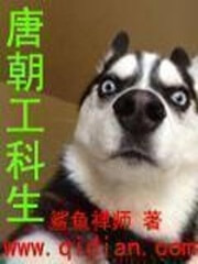 《唐朝工科生》（校对版全本）作者：鲨鱼禅师